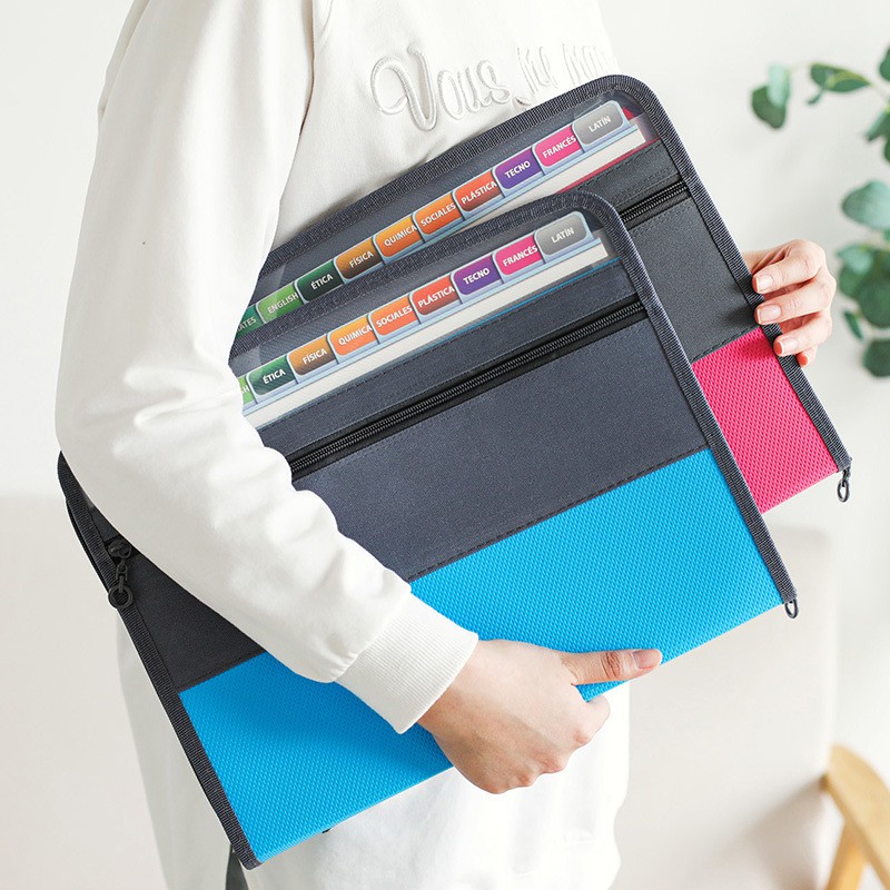 Accordion File Organizer with  - огляд і ціна Expandable Accordion File Folder 13 Pockets